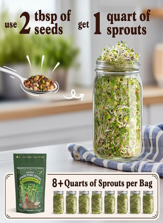 Seedboy Organic Non-GMO Sprouting Seeds, Fresh Salad Blend – USA Grown Microgreens Mix with Alfalfa, Broccoli, Radish, Mung Bean & Lentil – 8 oz Bag Makes 8 Quarts / 24 Servings (Salad Blend) - Image 3